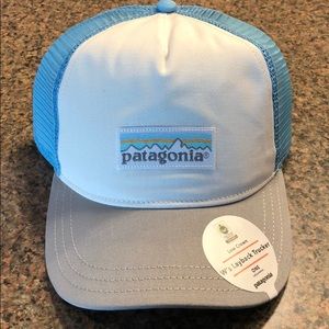Patagonia trucker hat